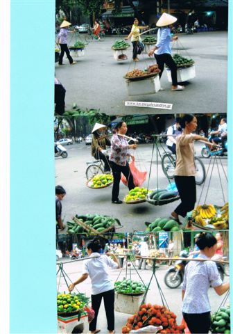 Indokina-HANOI -     